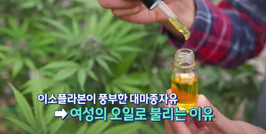 대마종자유 효능