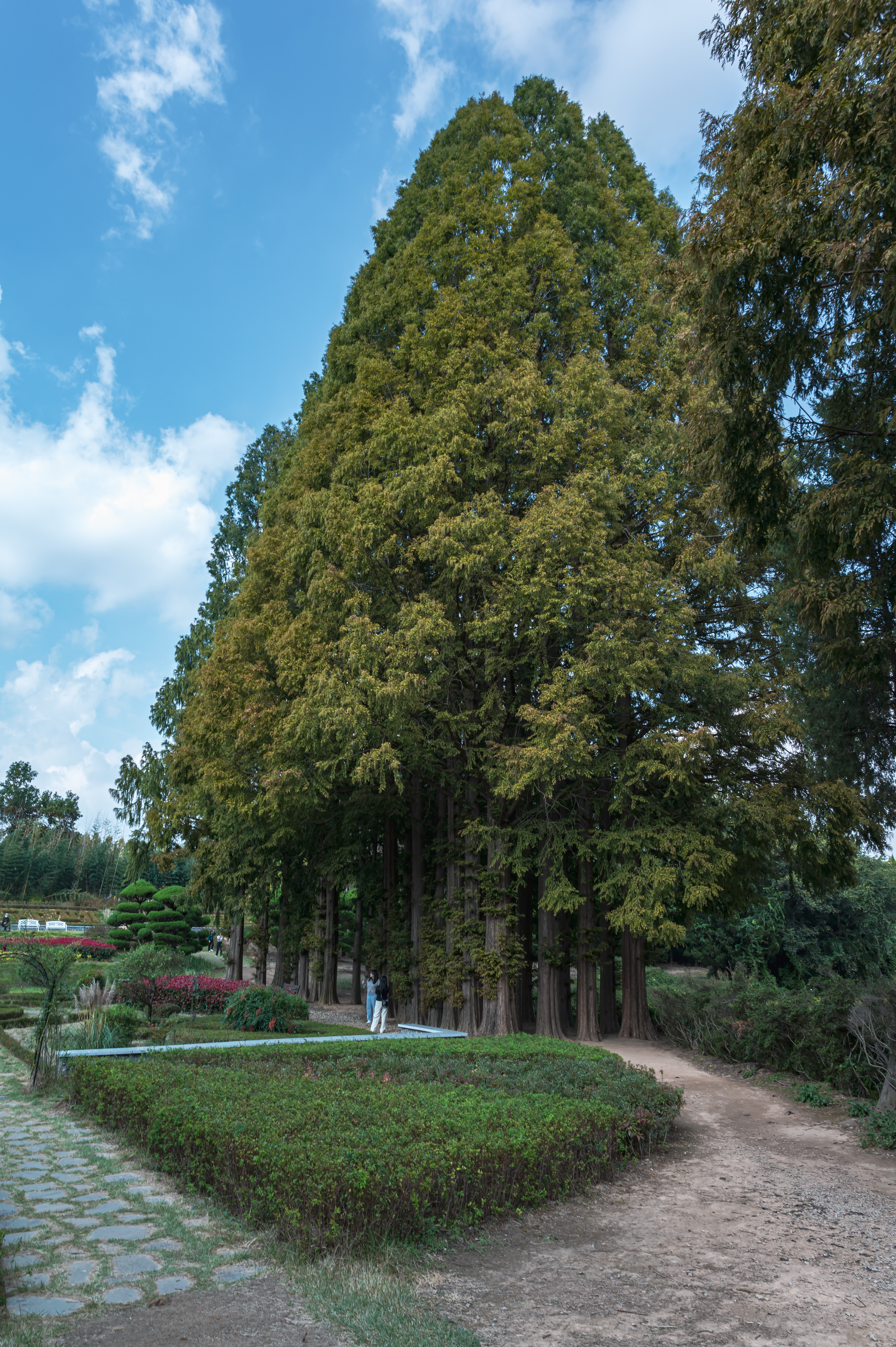 ์๊ฐํ ์ ์