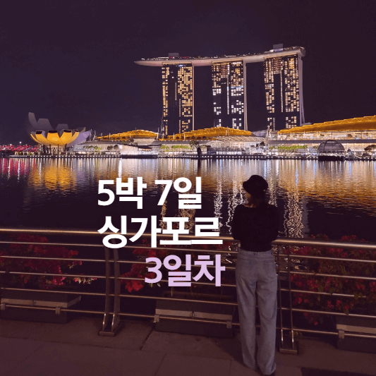 3일차-대표