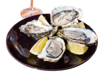 통영 생굴 1KG 가격, 굴 효능 및 영양소