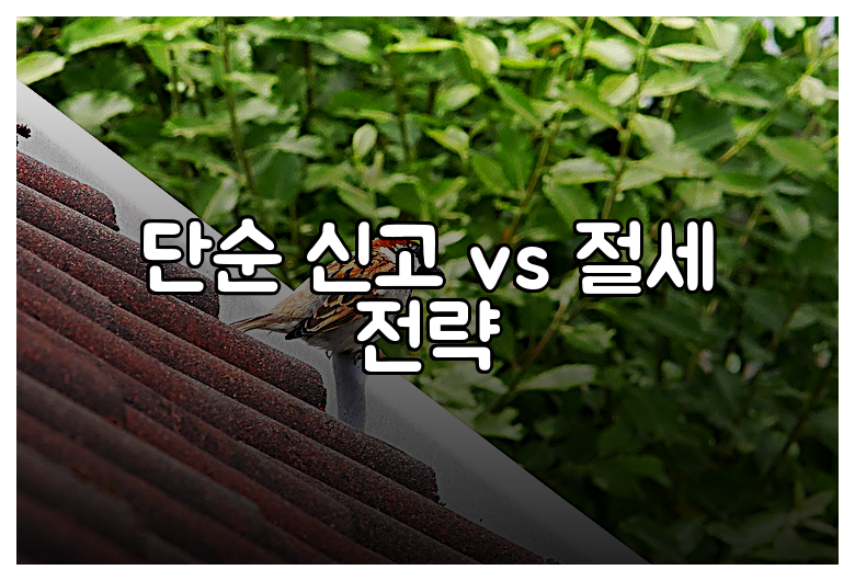 단순 신고 vs 절세 전략
