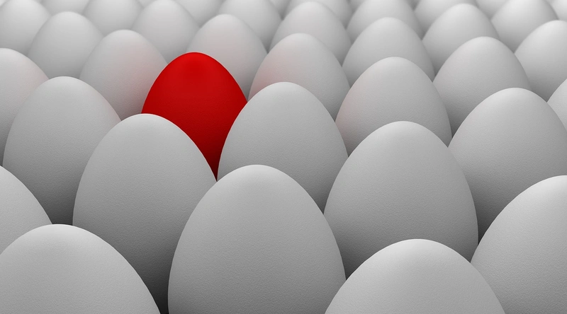 지자체 전기차 보조금 현황