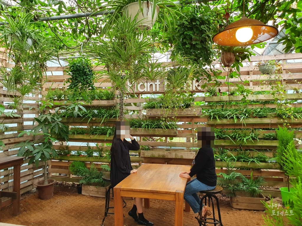 표선 보롬왓 실내 관광