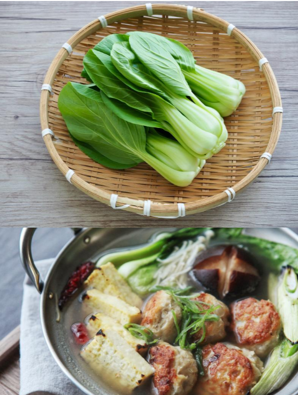 청경채 &ndash; 빠른 성장 + 다양한 요리 활용