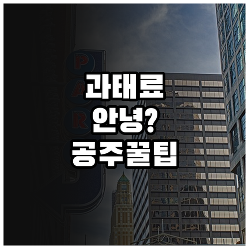 공주시 주정차 단속 알림 서비스 혜택..