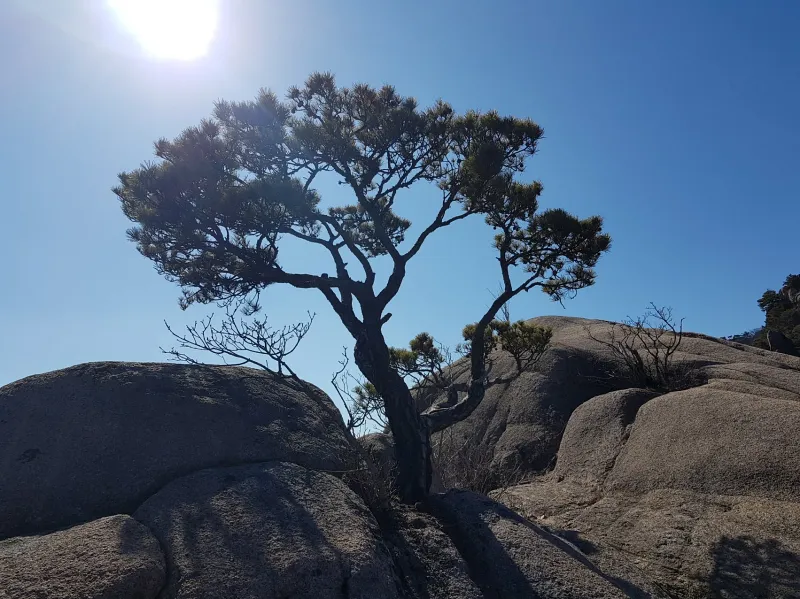 합천 황매산과 모산재