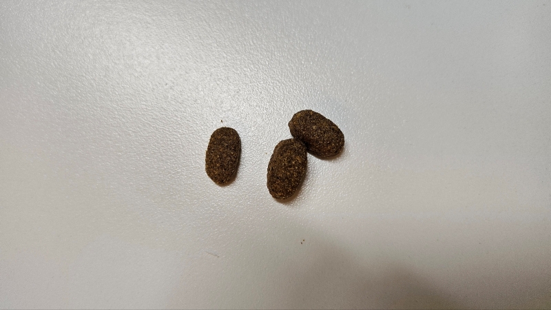 하림펫푸드 더리얼 로우11