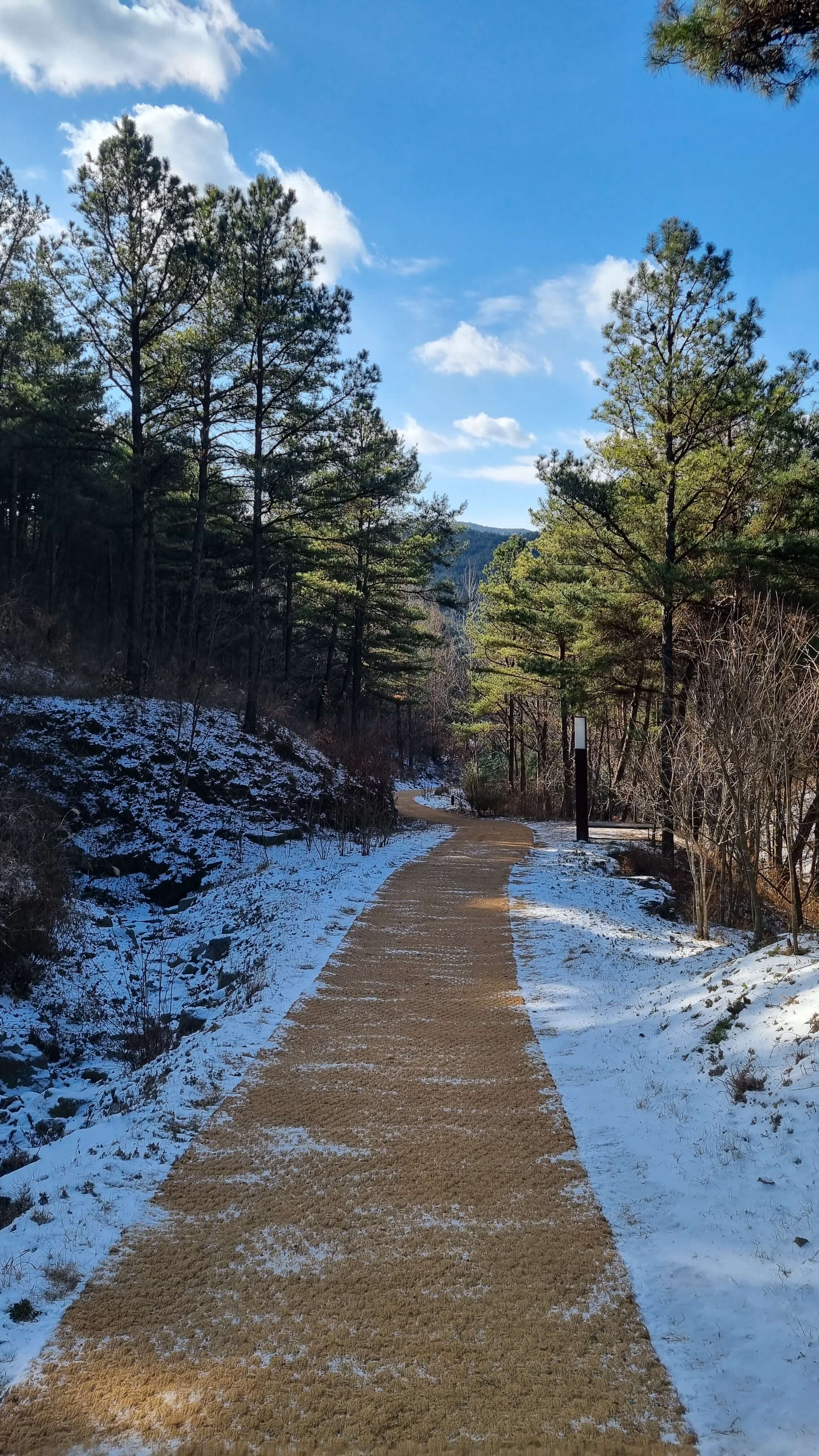 군위 사유원 예약 3분 완벽 정리