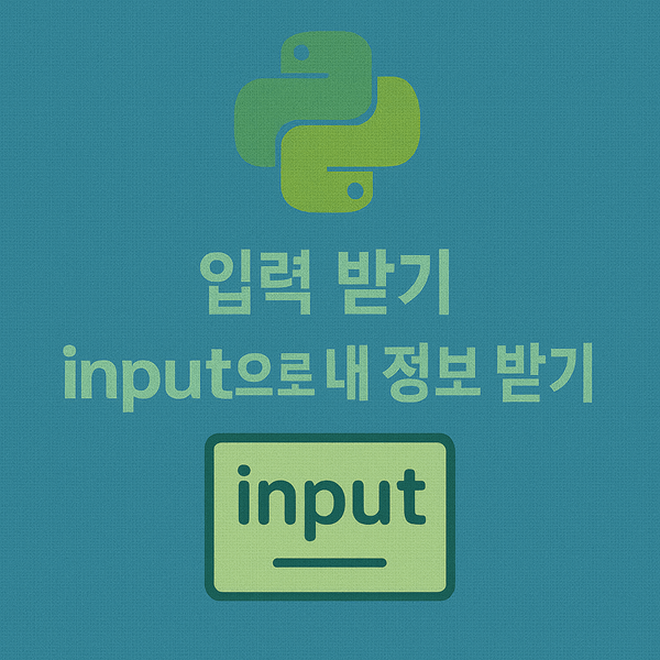 파이썬 입력 받기 - input으로 내 정보 받기