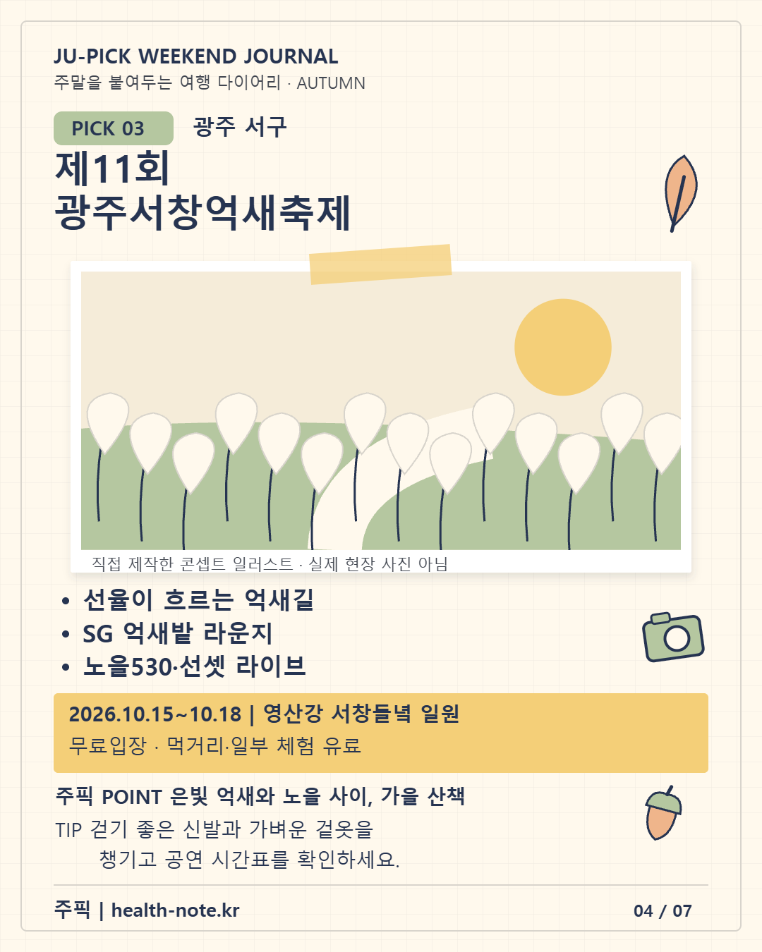 광주 서구 제11회 광주서창억새축제 볼거리와 방문정보 주픽 일러스트