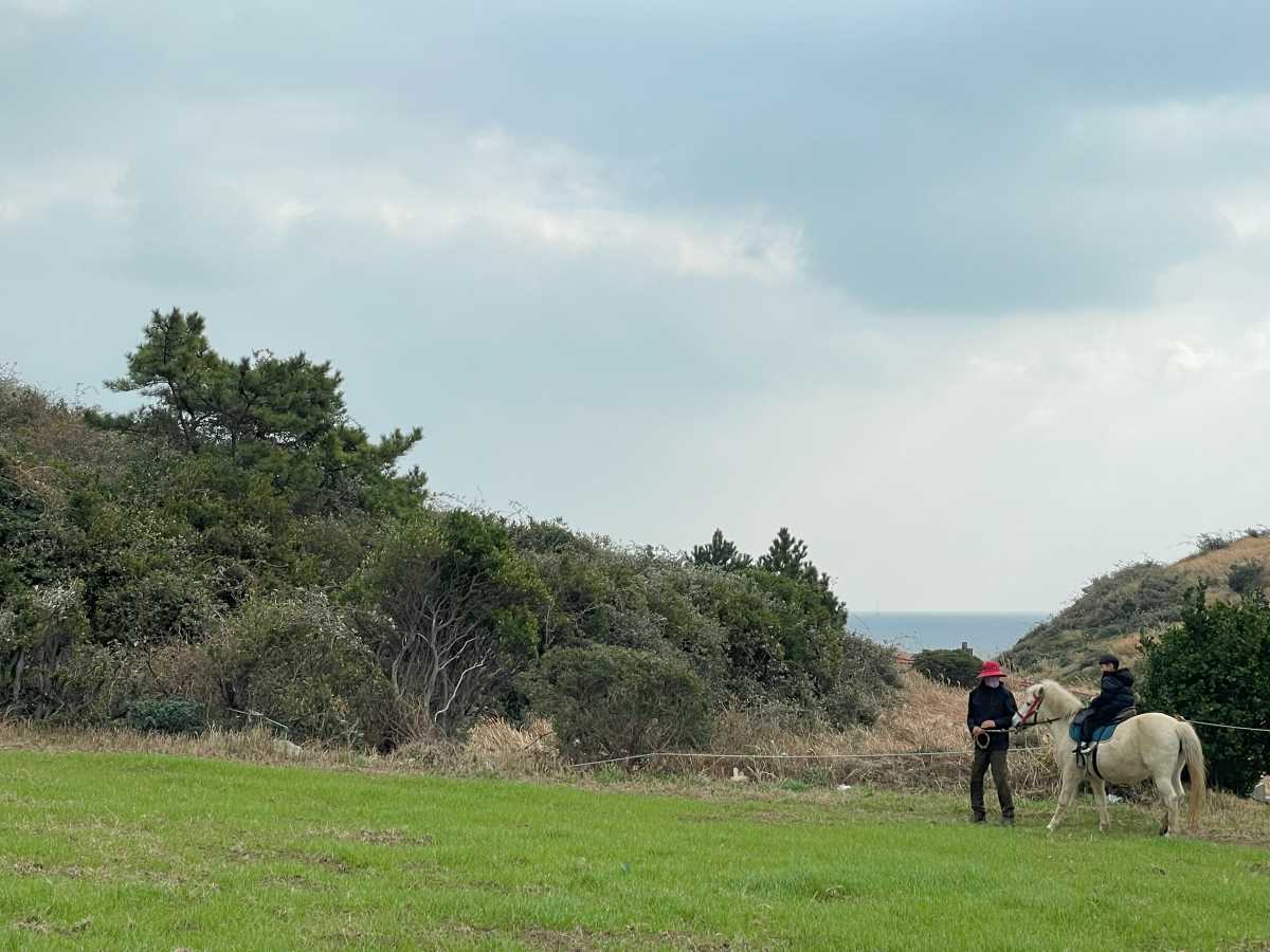 제주-승마체험-산방산-승마-체험-후기