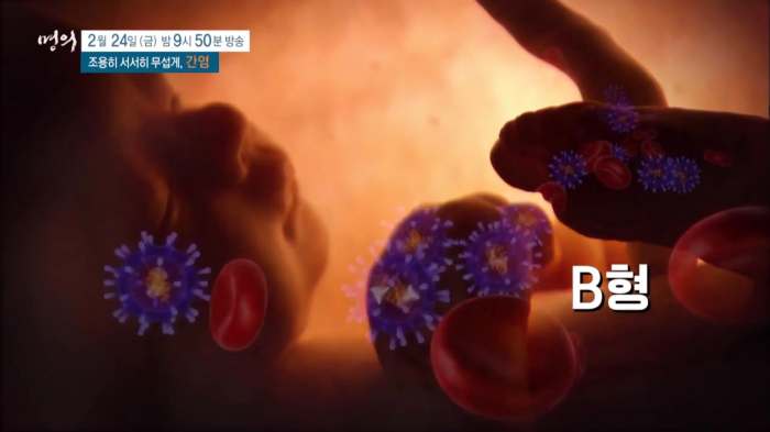 명의 A형 B형 C형 간염 증상 예방접종 원인 전염 항체 검사 비용 방법