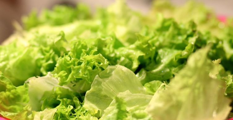 상추의 효능과 건강 효과: 다이어트, 피부 미용, 숙면까지!