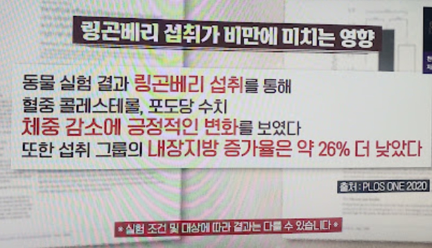 링곤베리 부작용