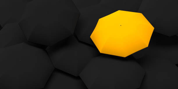 2025년 노란우산공제 완벽가이드: 가입부터 해지까지 실속체크!!!