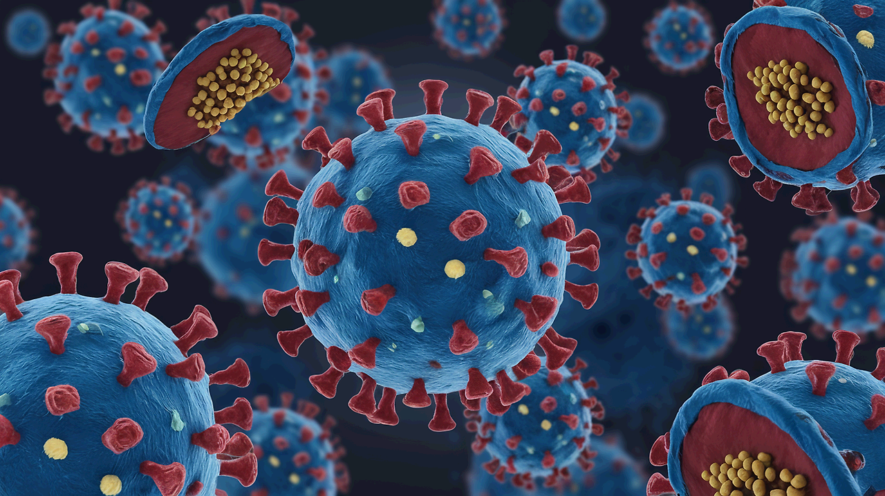 독감이란 무엇일까