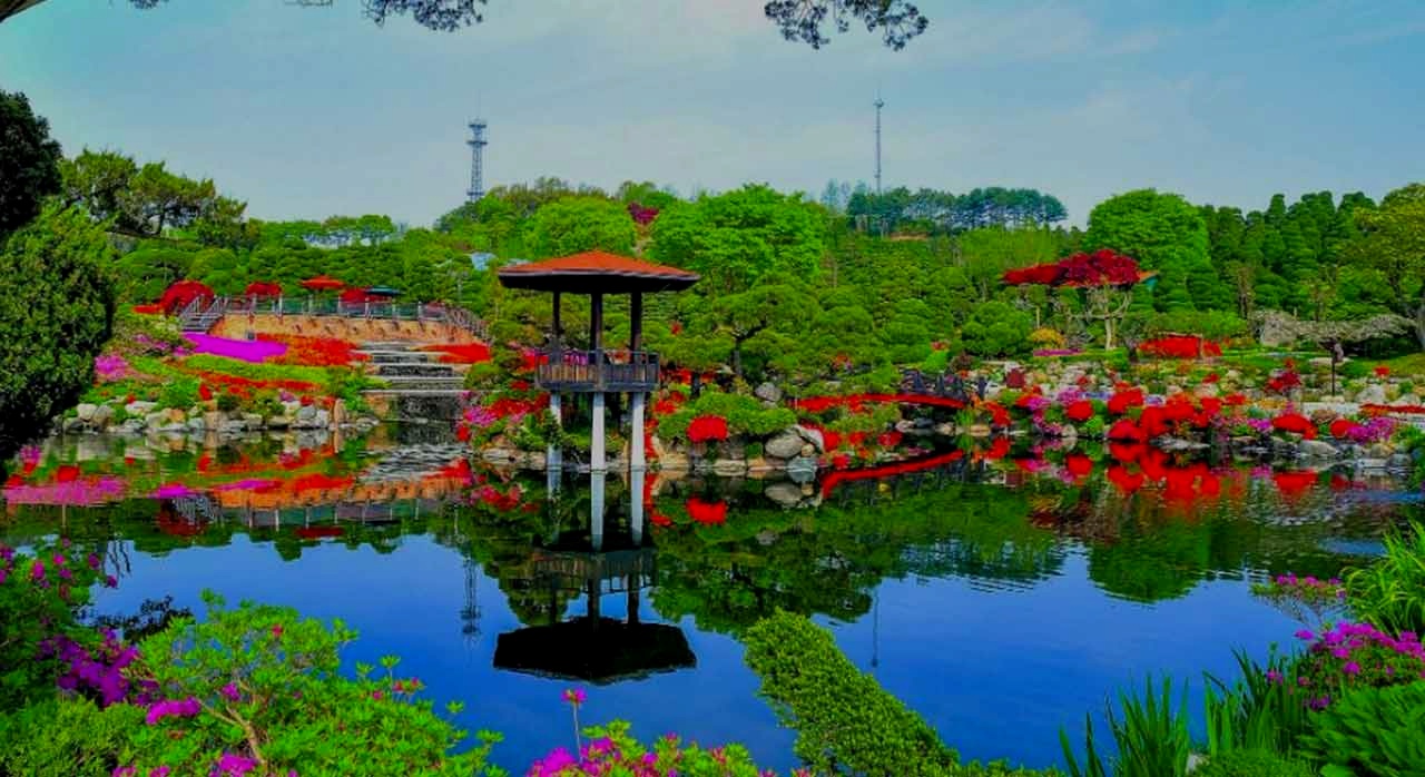 잉어 연못과 분재원은 산책 중 머무르기 좋은 포인트다. [ⓒ세종 베어트리파크 이재헌]