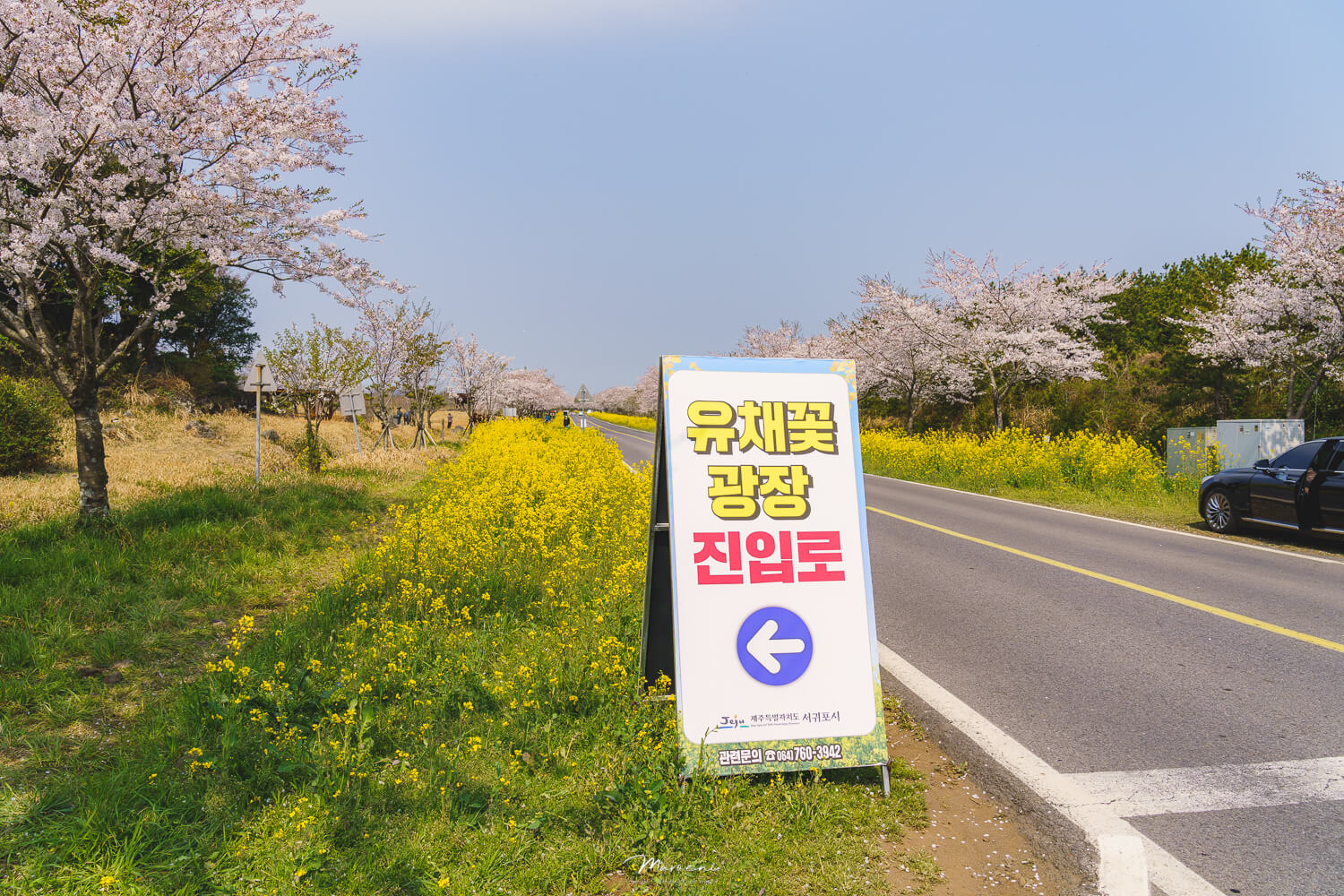 녹산로