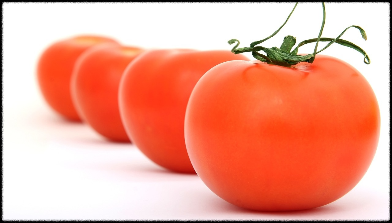 토마토 관련 이미지6