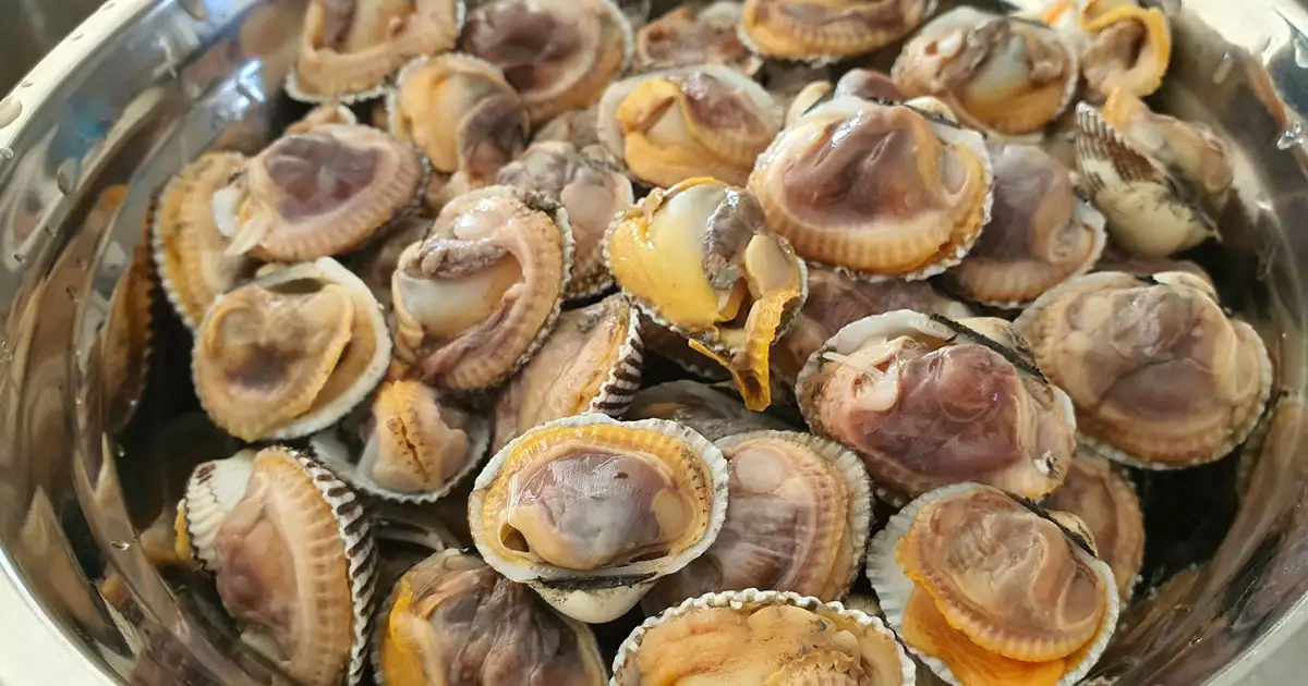 삶은 꼬막
