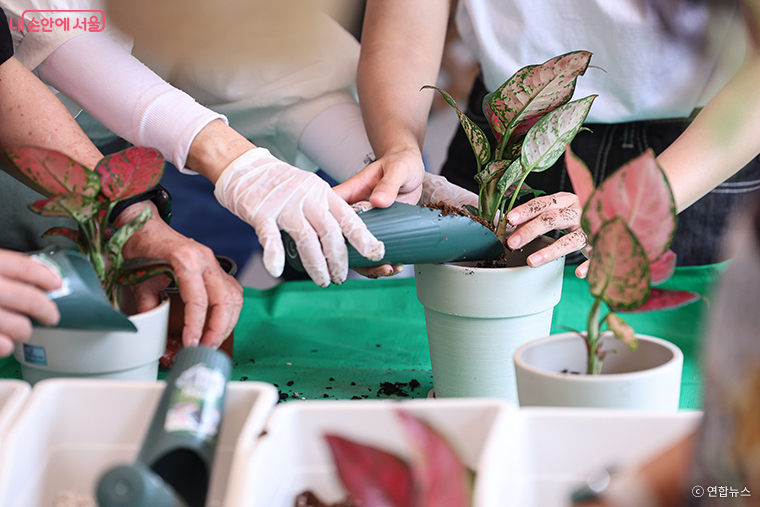 서울국제정원박람회