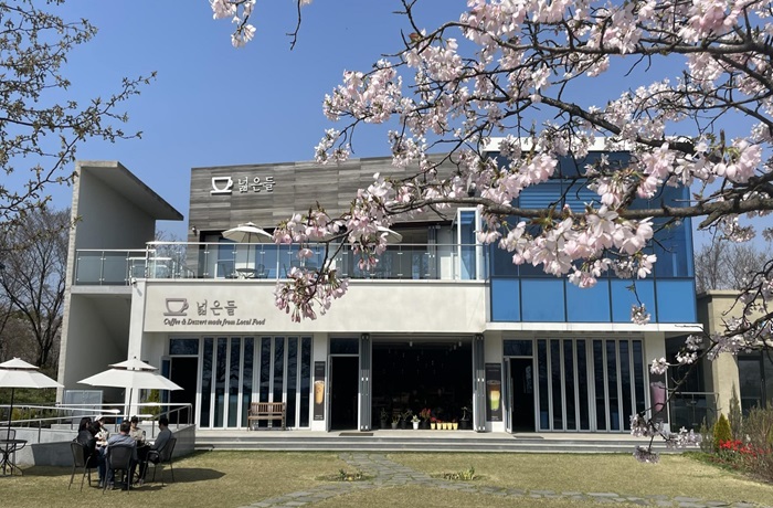 고창 청보리밭 축제 (출처:한국관광공사)