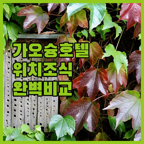 가오슝 호텔 예약 전 꼭 확인해야 할..