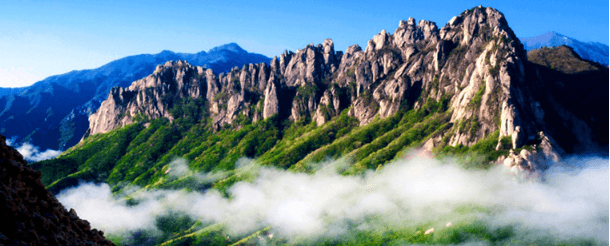 단풍여행 당일 단풍버스여행