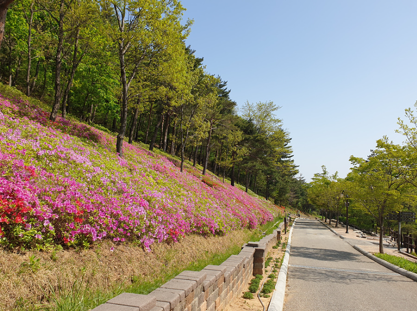 강릉솔향수목원