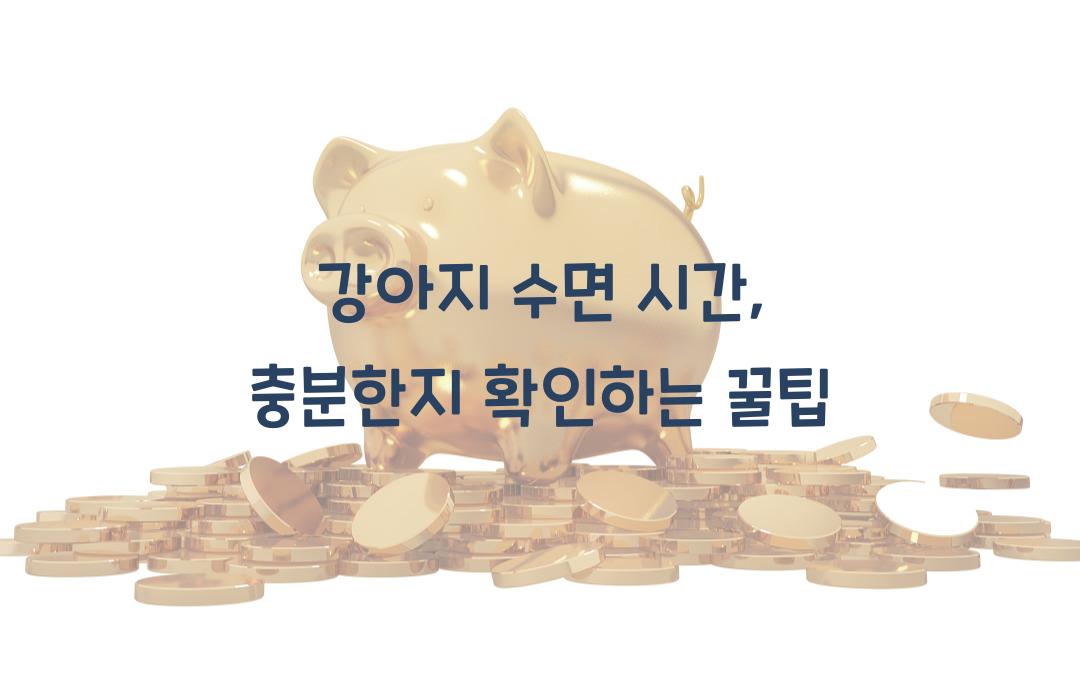 강아지 수면 시간, 충분한지 확인하는 방법