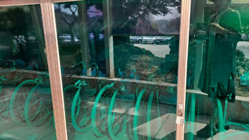 화성_우리꽃식물원_국화전시회