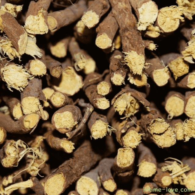 약방의 감초 감초 특징