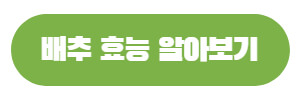 배추