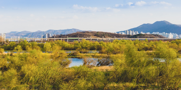 대구 근교의 전통과 현대 여행: 근대 골목과 동화사