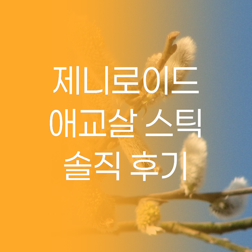 제니로이드 애교살 스틱 써보니.. 자