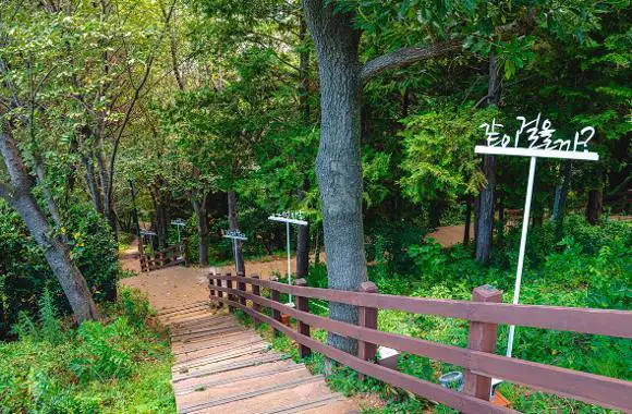우암동 도시숲 산책로