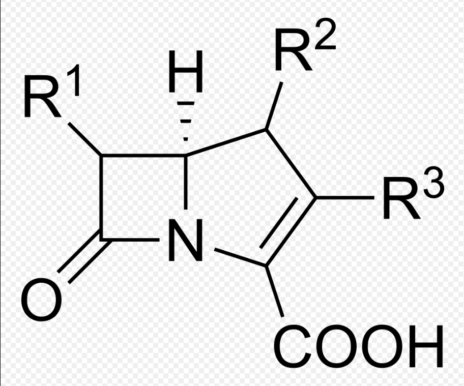 [감염병 주의] 카바페넴내성장내세균속균목(CRE) 감염증 증상 및 감염 경로, 예방 방법