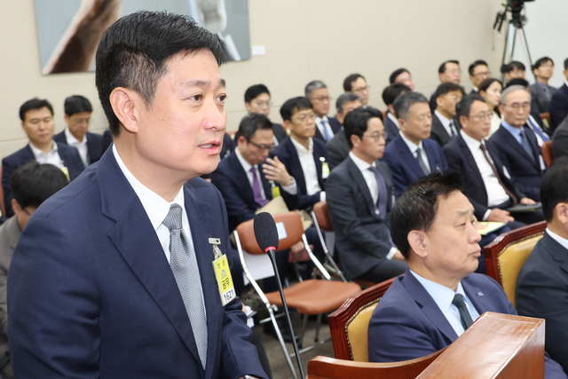 지난 21일 국회 과학기술정보방송통신위원회에서 열린 정보통신기술(ICT) 분야 산하기관 국정감사에서 홍범식 LGU+ 대표이사가 해킹 사태와 관련한 위원 질의에 답하고 있다
