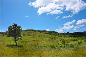 오대산 국립공원 3