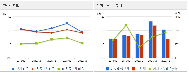 노브랜드 주가 안정성