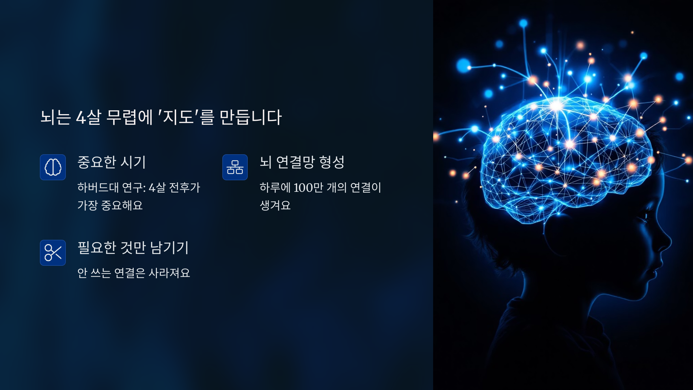 뇌는 4살 무렵에 '지도'를 만듭니다