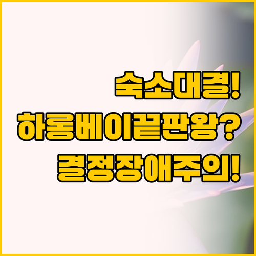 하롱베이 숙소 선택 끝판왕 가족형 오..