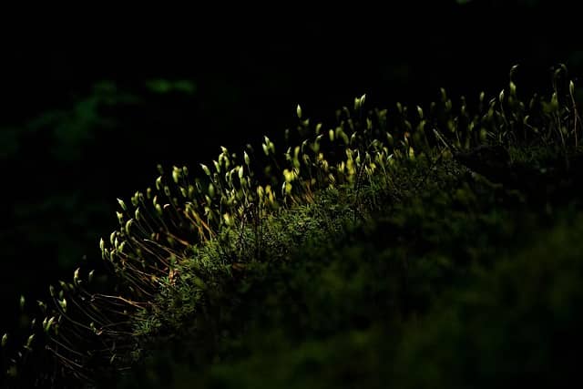 탄소중립 실천포인트 가입&middot;적립&middot;입금