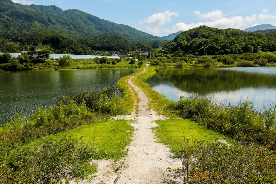 화천 파로호