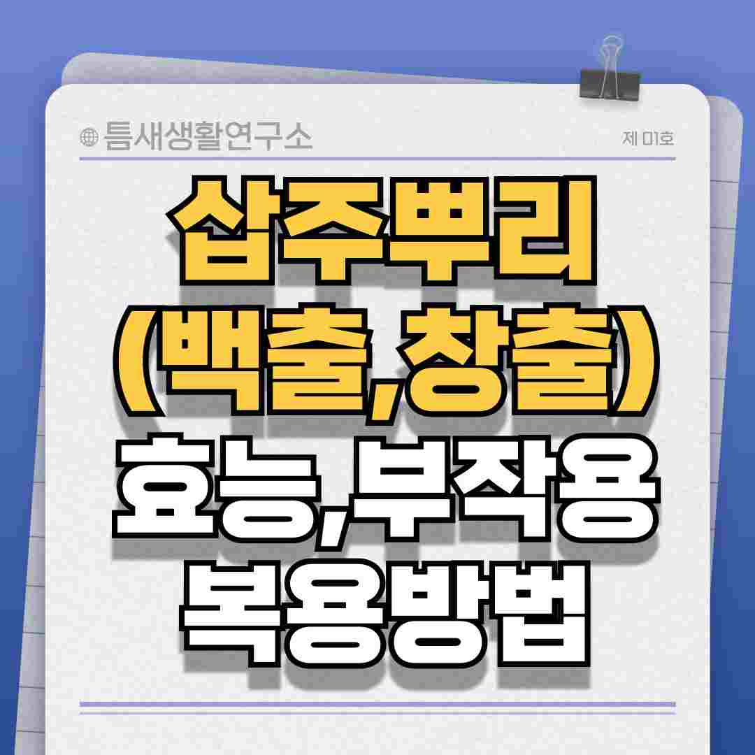 삽주뿌리-썸네일