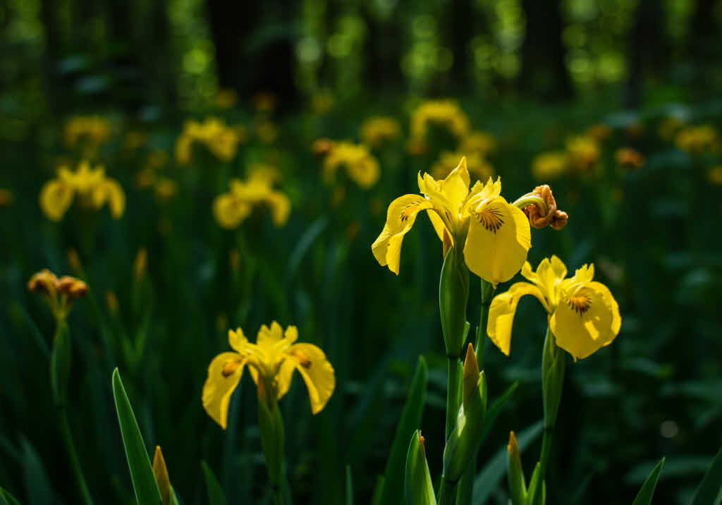 MBTI 성격 유형별 스트레스 해소법