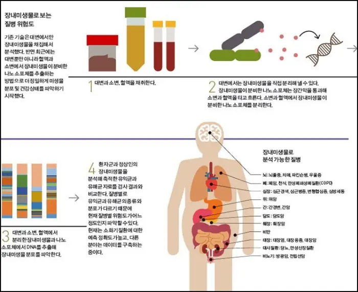 장내 미생물과 질병위험도 관계