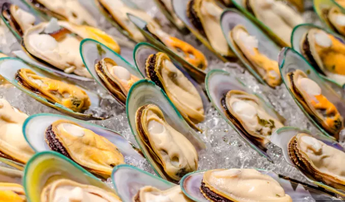 초록입홍합-효능-부작용-건강