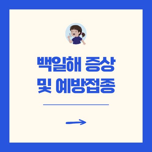 백일해 증상 및 예방접종 가격 총정리 2025