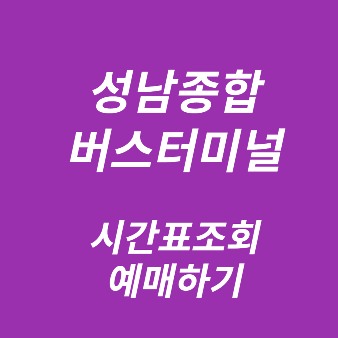 성남종합터미널 시간표 조회,예매